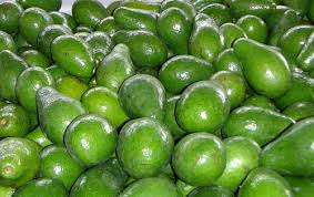 Ghana Avocado image 1