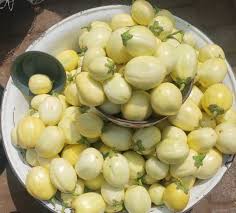 Garden Eggs image 4
