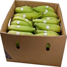 Plantain image 1