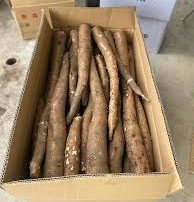 Cassava image 8