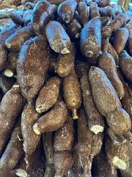 Cassava image 6