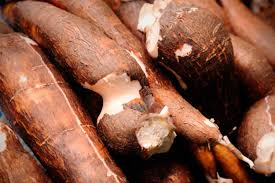 Cassava image 3