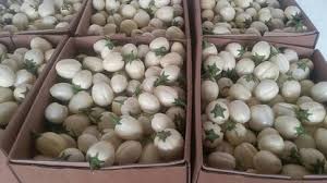 Garden Eggs image 3