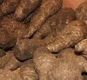 Cocoyam image 3